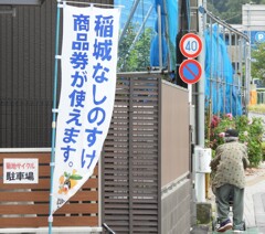 稲城なしのすけ？