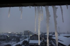 ギョ！氷柱ができてる！