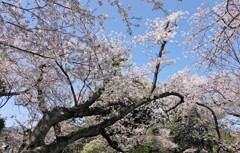 これで良しとしましょう