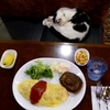 もれなく猫がついてきます