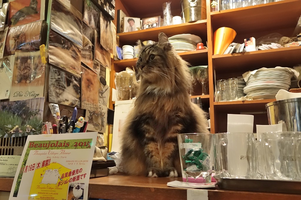 招き猫にゃ