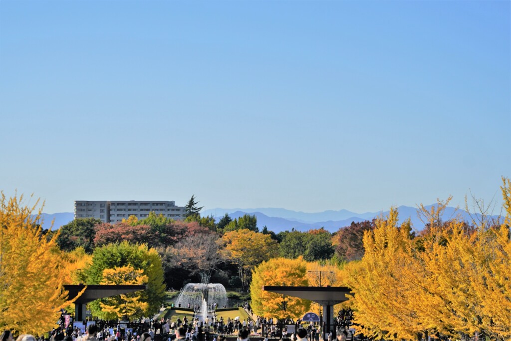 20年ぶりの入園