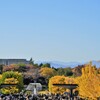 20年ぶりの入園
