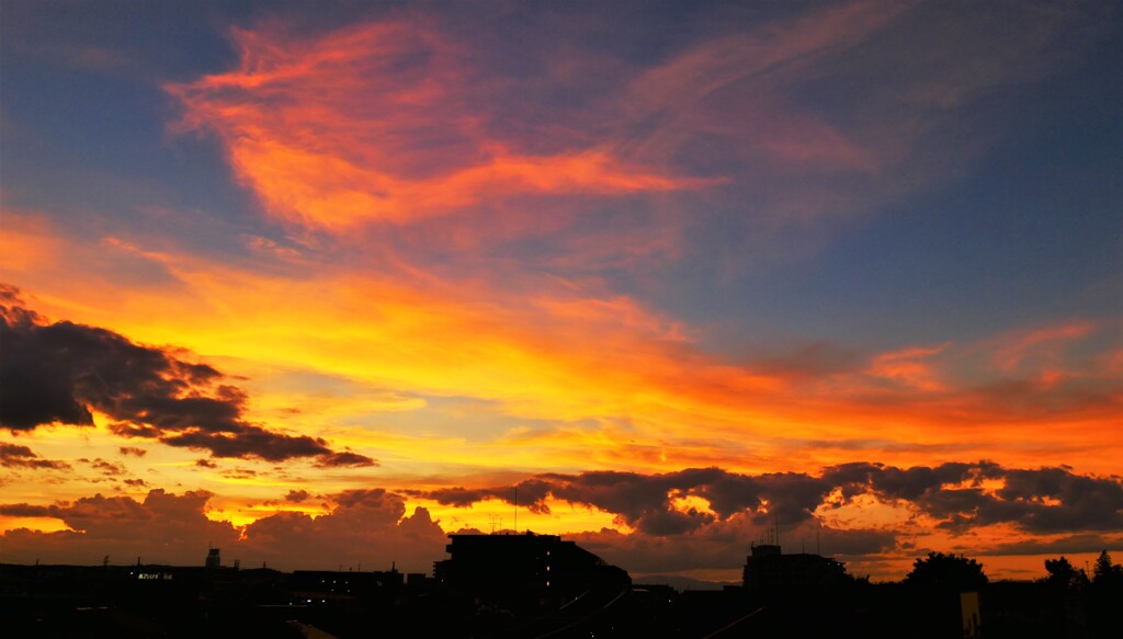 燎原の火の如く