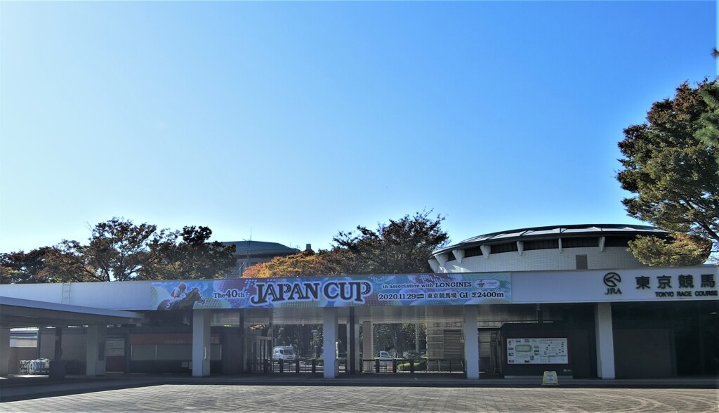 東京競馬場