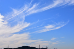 秋晴れ