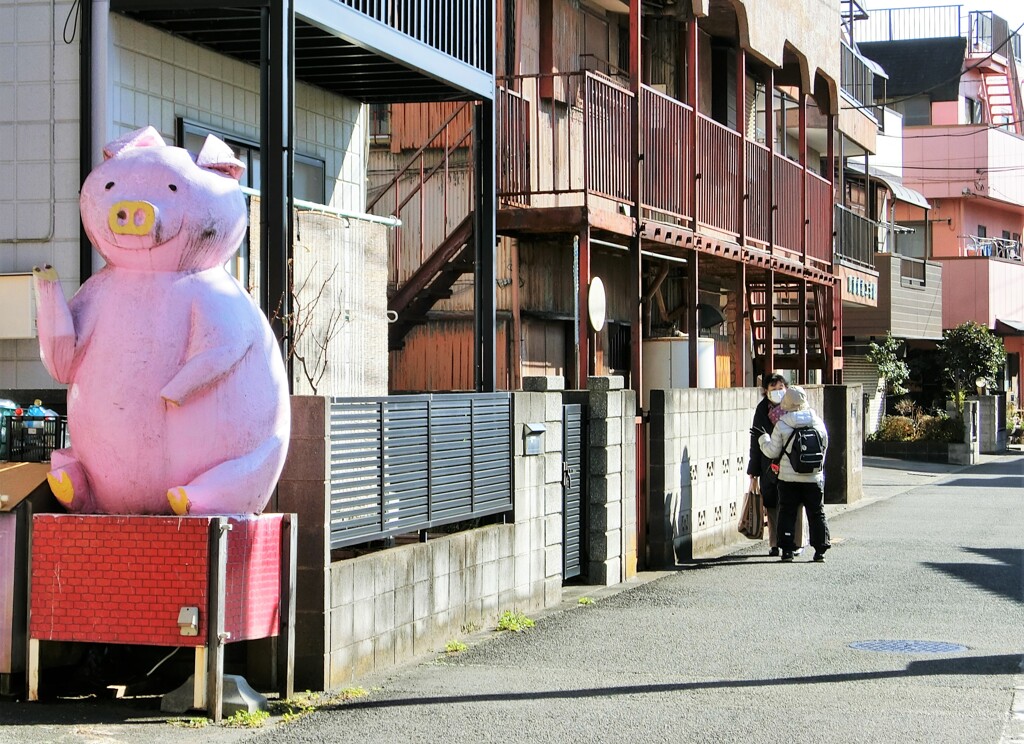 豚と、立ち話