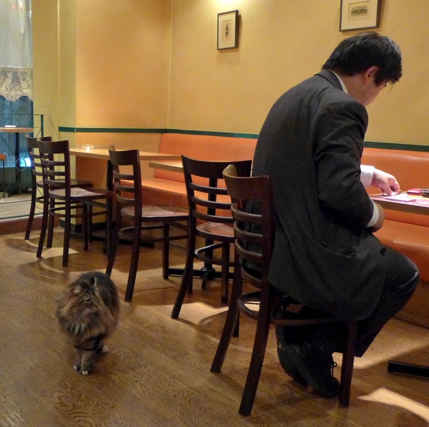 「カイザー店長代理の営業報告」