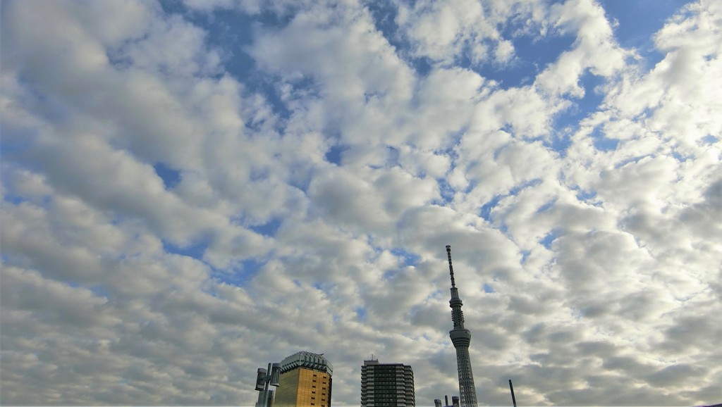 雲の多い日