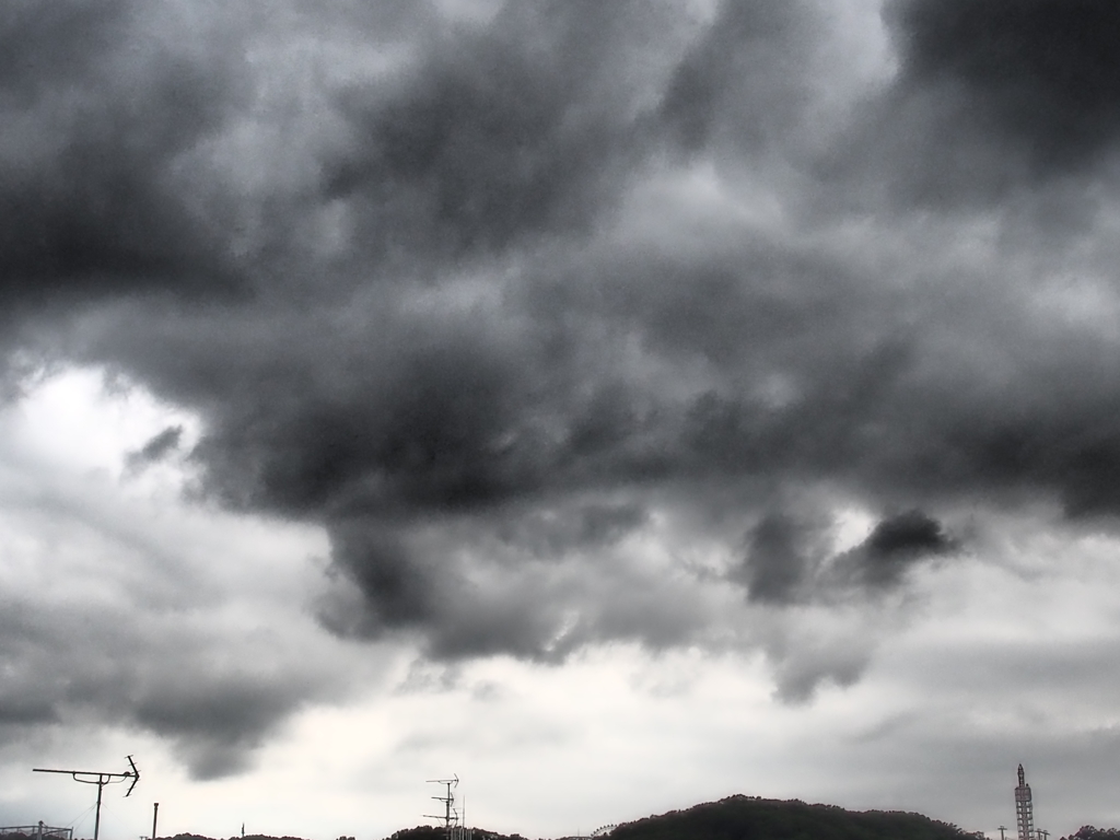 また来やがった