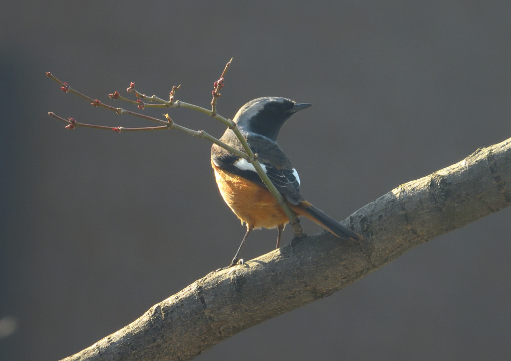 落ち着いたかな