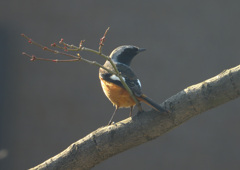 落ち着いたかな