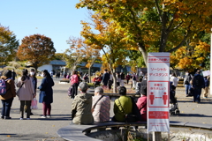 混雑の予感