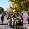 混雑の予感