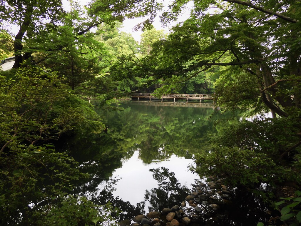 夢の浮橋