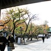 外国人観光客に人気