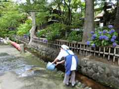 豪快な打ち水