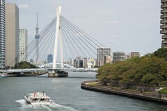 中央大橋とスカイツリー
