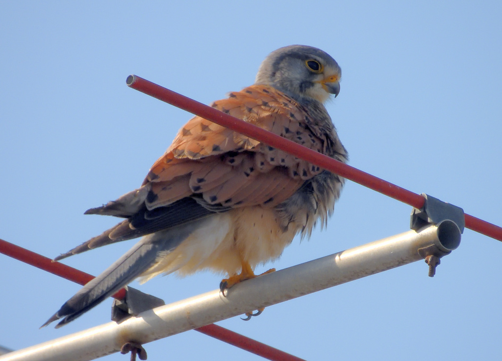 近寄ってみました