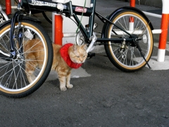 生前の“ハマのかーさん”