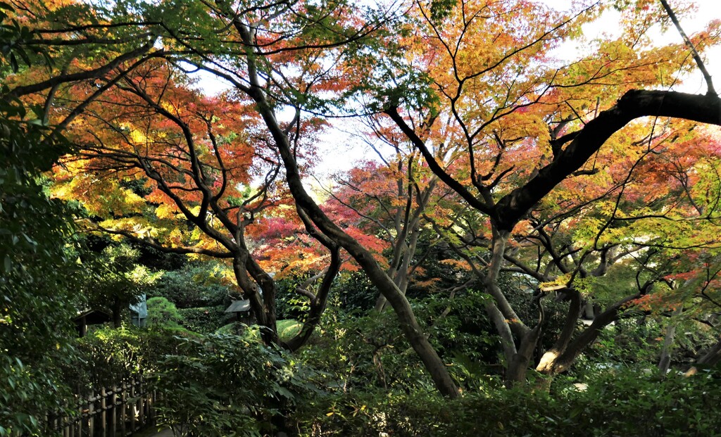 大池に沿って歩くと