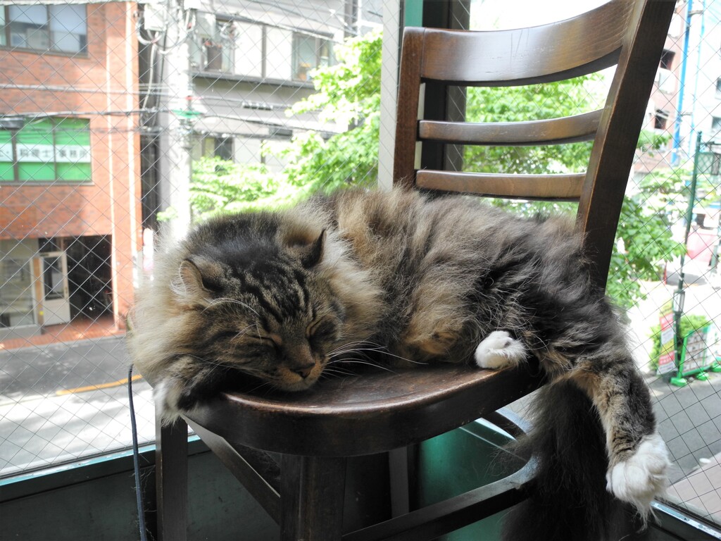 カイザー店長代理