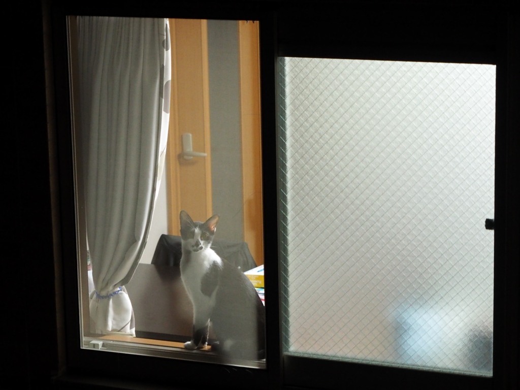 お帰り
