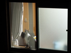 お帰り