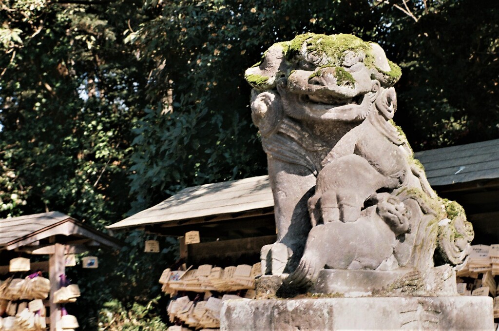 キレも良い