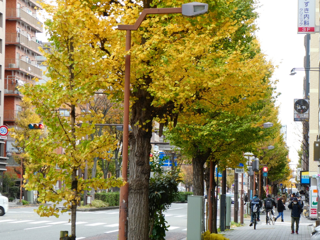 KANTO CAMERAへの道