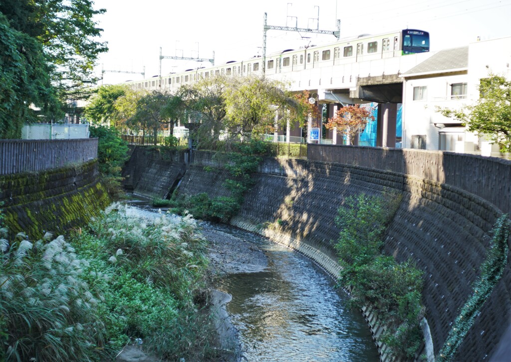 ちょっとした森林浴