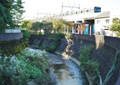 ちょっとした森林浴