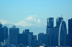 今年の主役