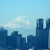 今年の主役