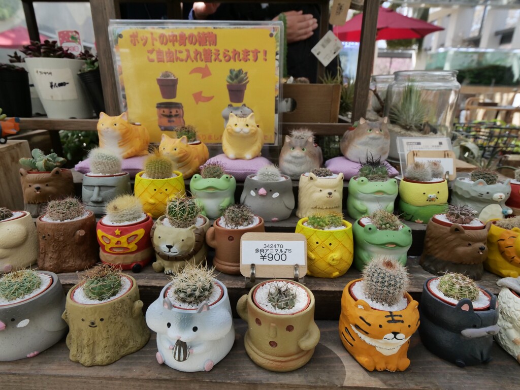 落ち着いた発色