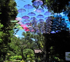 カラフルなビニール傘