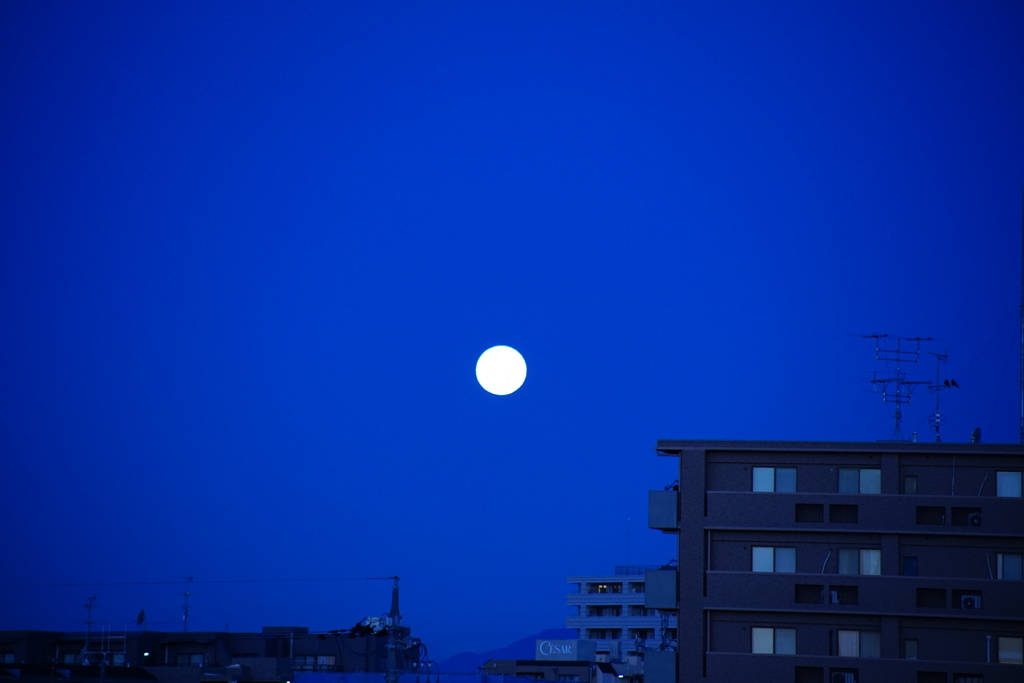 月の入り