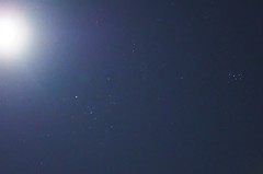 今年のレンズ大賞はSIGMA 16mmF1.4 DC DN