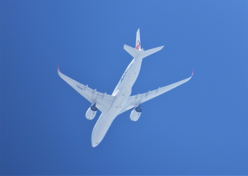 JAL A350