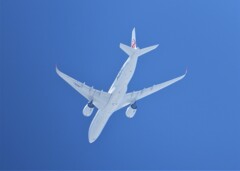 JAL A350
