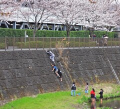 ガキンチョは