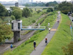 休日の多摩川遊歩道