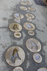 東京日和
