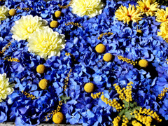 龍水の花