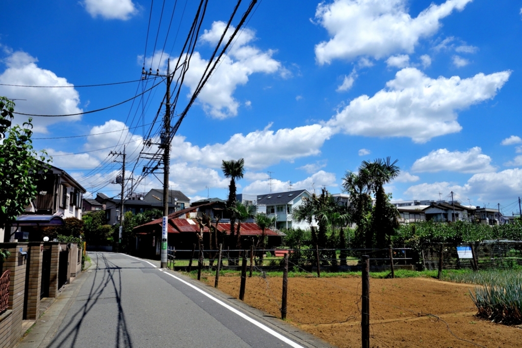 沖縄かよ