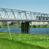 そ～っと多摩川を渡る