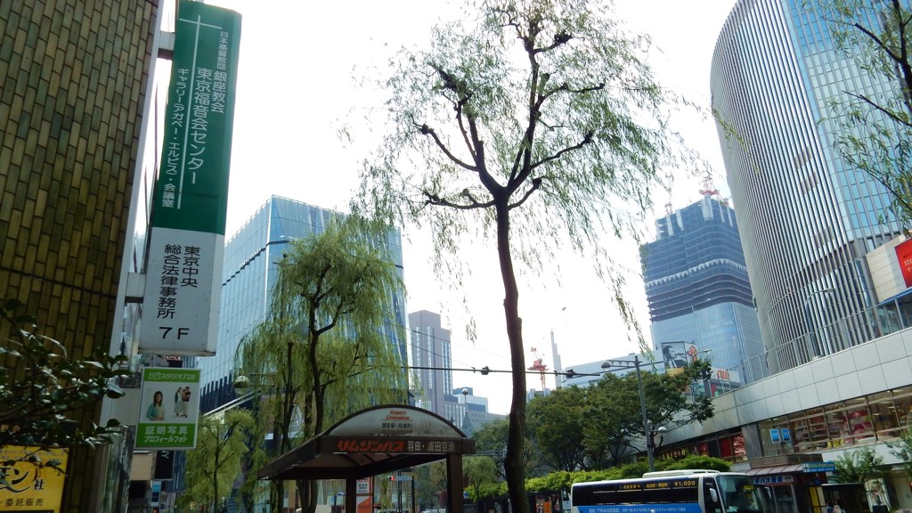 銀座の柳