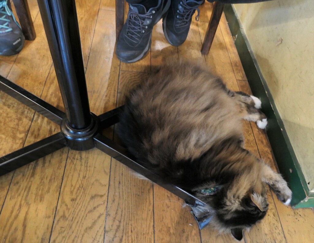 どこでも爆睡カイ君