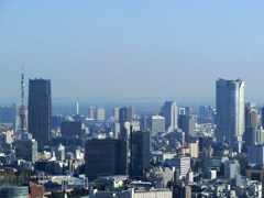 東京タワー、六本木ヒルズタワー、フジテレビなど