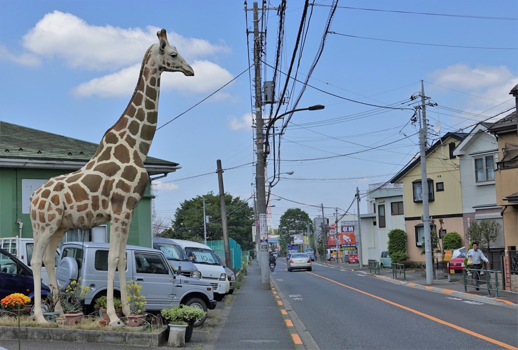 キリンさんも！